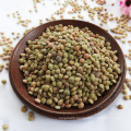 Chinese Lentils  Low Price Green Lentils and Pulses